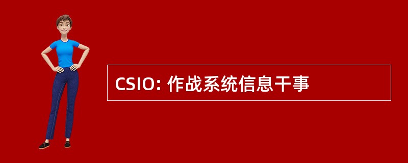 CSIO: 作战系统信息干事