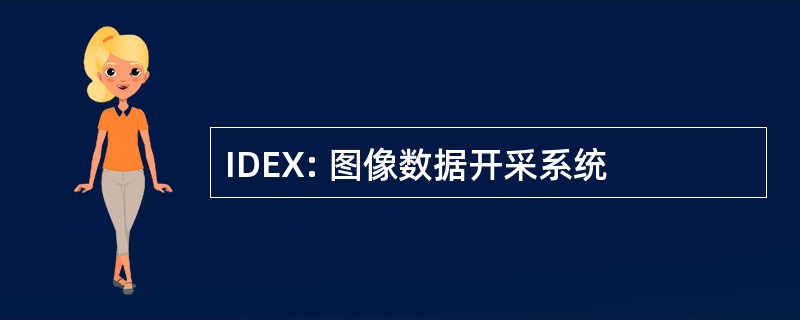 IDEX: 图像数据开采系统