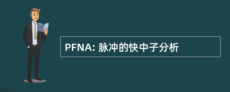 PFNA: 脉冲的快中子分析