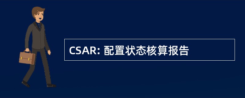 CSAR: 配置状态核算报告