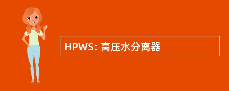 HPWS: 高压水分离器