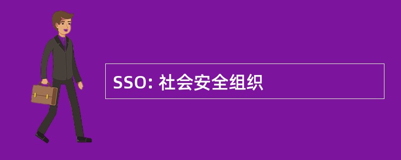 SSO: 社会安全组织