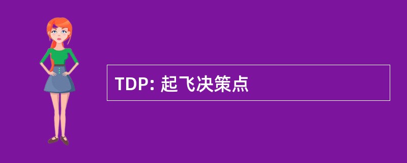 TDP: 起飞决策点