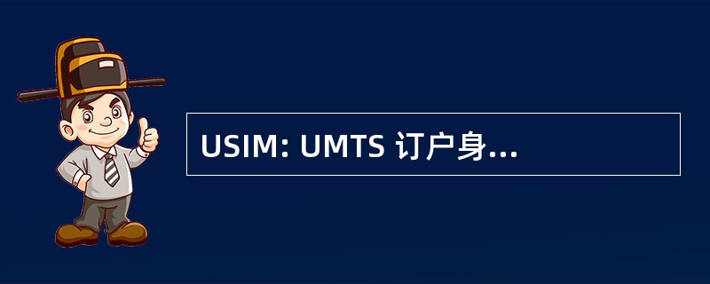 USIM: UMTS 订户身份模块 (信息存储和连接智能卡）