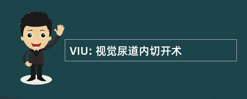 VIU: 视觉尿道内切开术