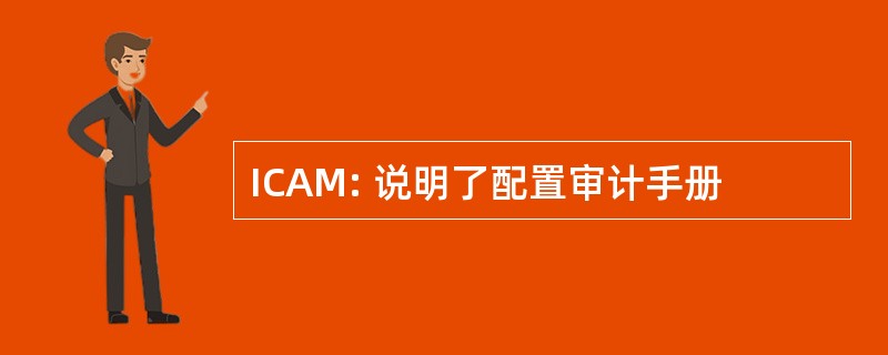 ICAM: 说明了配置审计手册