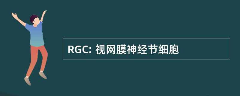 RGC: 视网膜神经节细胞