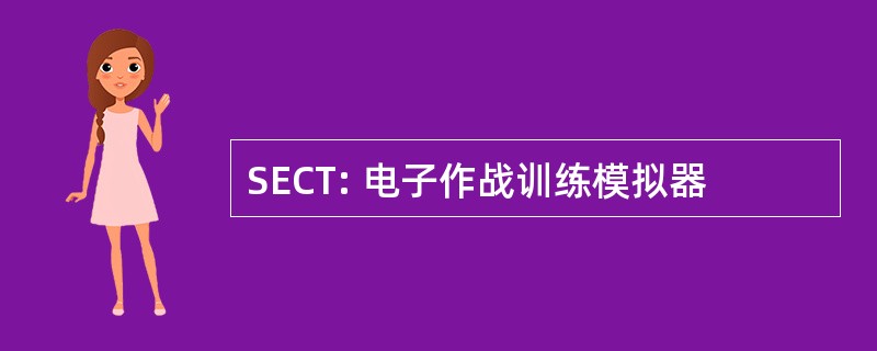 SECT: 电子作战训练模拟器