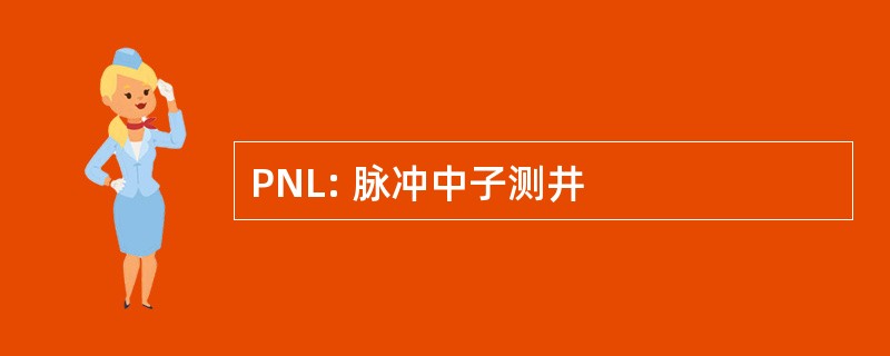 PNL: 脉冲中子测井