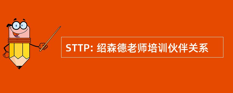 STTP: 绍森德老师培训伙伴关系