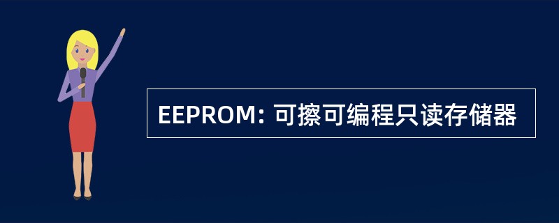 EEPROM: 可擦可编程只读存储器