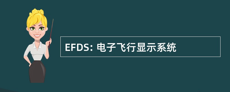 EFDS: 电子飞行显示系统