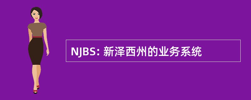 NJBS: 新泽西州的业务系统