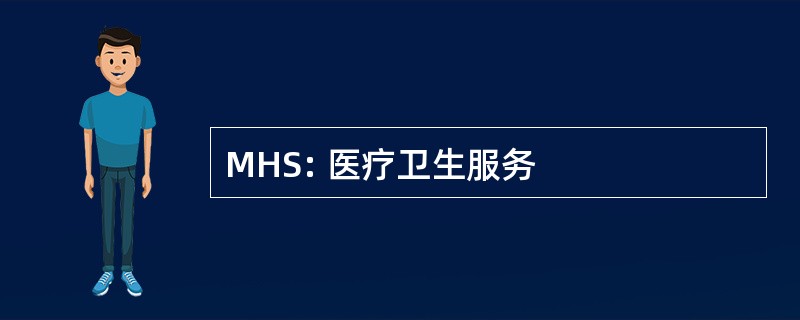 MHS: 医疗卫生服务