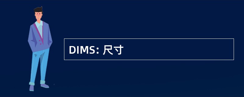 DIMS: 尺寸