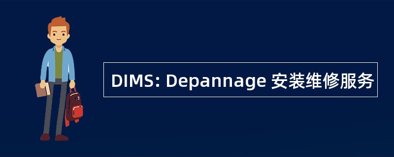 DIMS: Depannage 安装维修服务