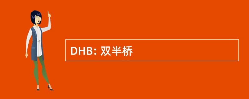 DHB: 双半桥