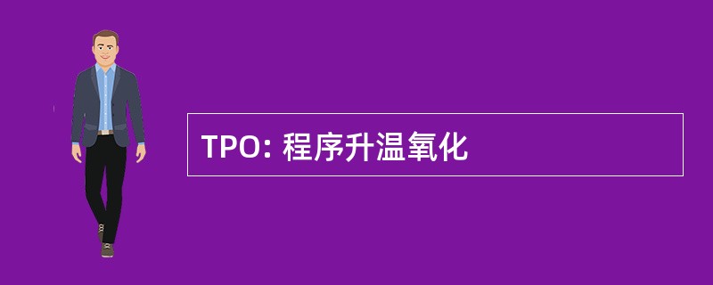 TPO: 程序升温氧化