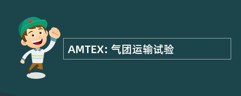 AMTEX: 气团运输试验