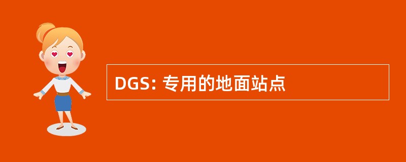 DGS: 专用的地面站点