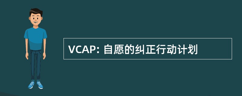 VCAP: 自愿的纠正行动计划