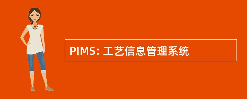 PIMS: 工艺信息管理系统