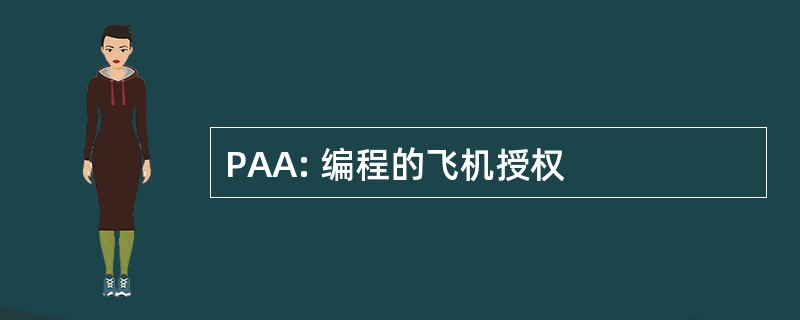 PAA: 编程的飞机授权