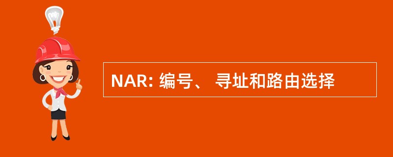 NAR: 编号、 寻址和路由选择