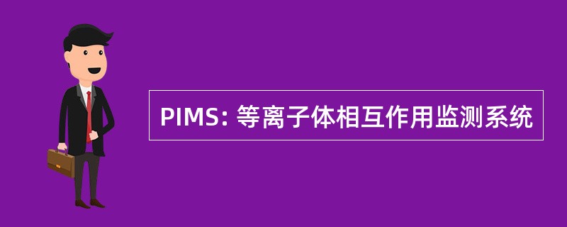 PIMS: 等离子体相互作用监测系统