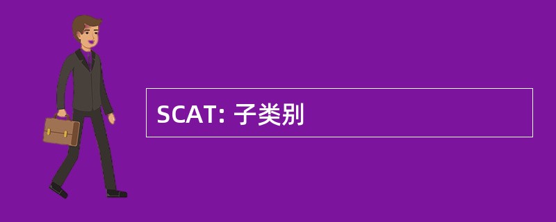 SCAT: 子类别