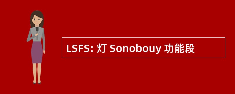 LSFS: 灯 Sonobouy 功能段