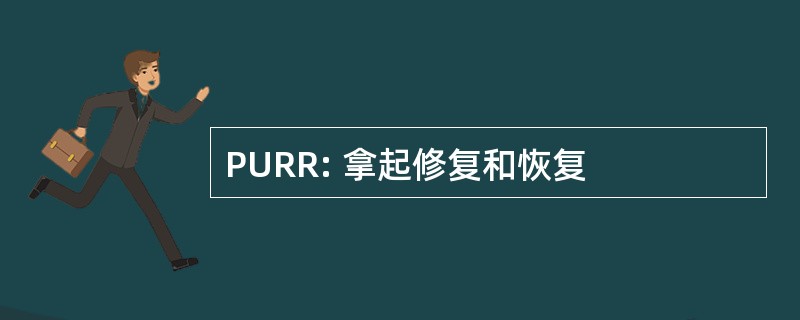 PURR: 拿起修复和恢复