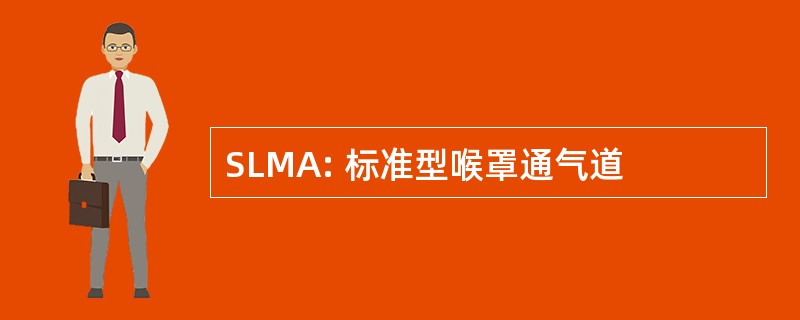 SLMA: 标准型喉罩通气道