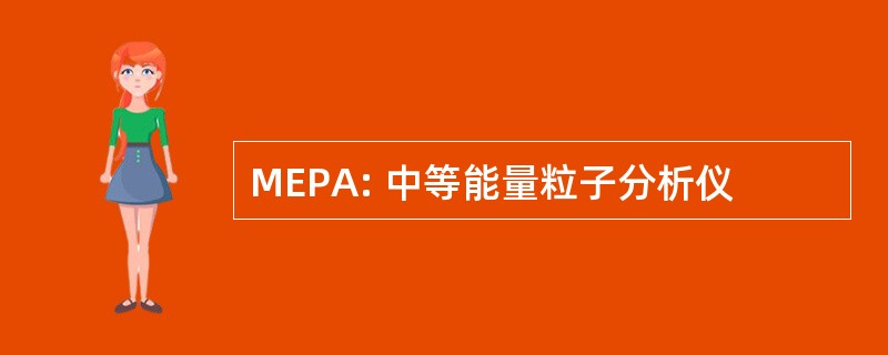 MEPA: 中等能量粒子分析仪