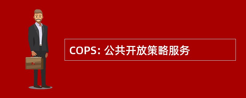 COPS: 公共开放策略服务