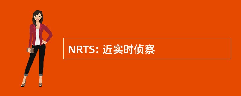 NRTS: 近实时侦察