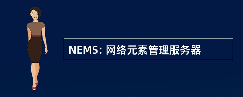 NEMS: 网络元素管理服务器