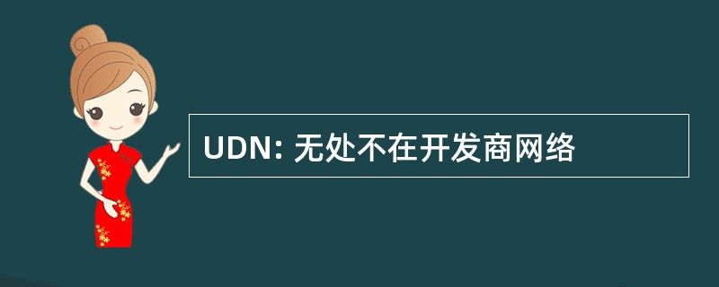 UDN: 无处不在开发商网络