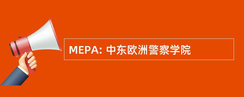 MEPA: 中东欧洲警察学院