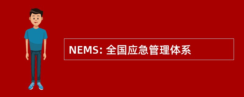 NEMS: 全国应急管理体系