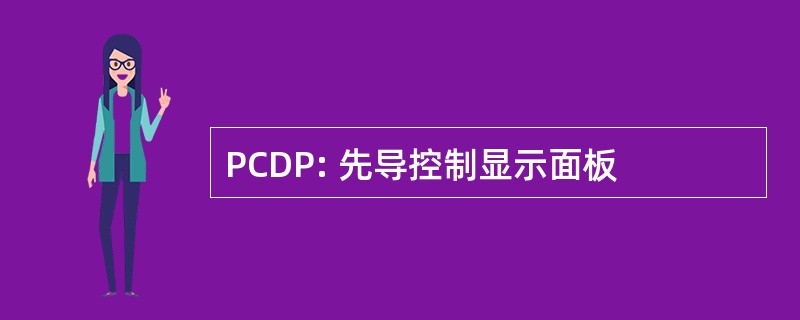 PCDP: 先导控制显示面板