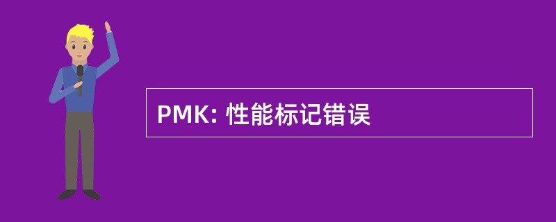 PMK: 性能标记错误