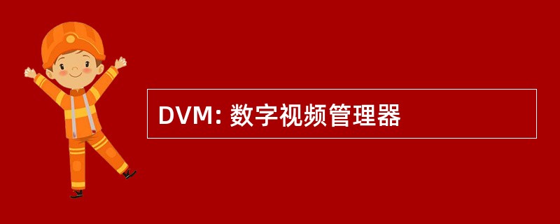 DVM: 数字视频管理器