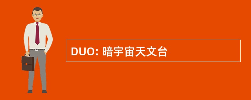 DUO: 暗宇宙天文台