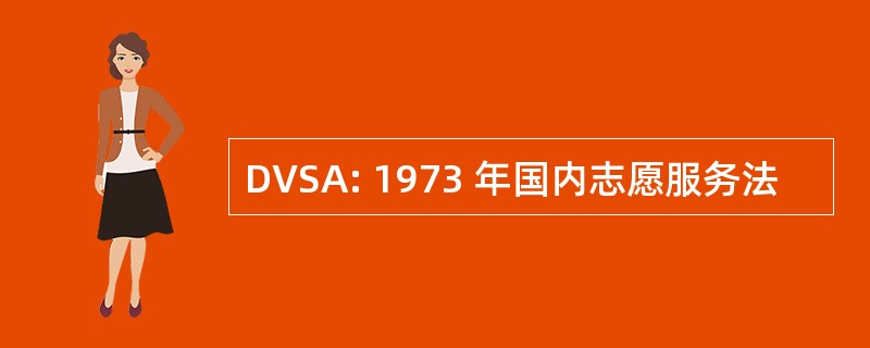 DVSA: 1973 年国内志愿服务法