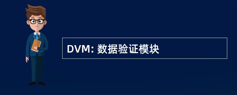 DVM: 数据验证模块