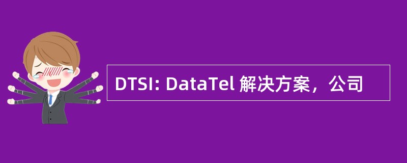 DTSI: DataTel 解决方案，公司