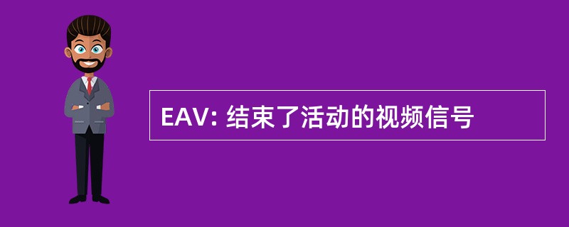 EAV: 结束了活动的视频信号