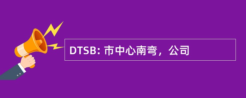 DTSB: 市中心南弯，公司