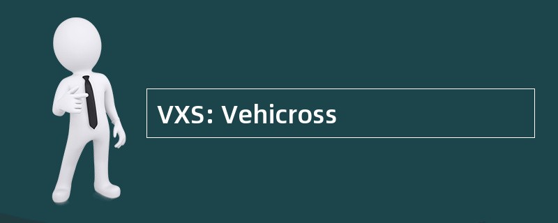 VXS: Vehicross